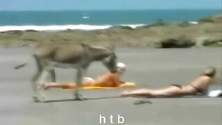 Apaļīgs tranny roku darbs
